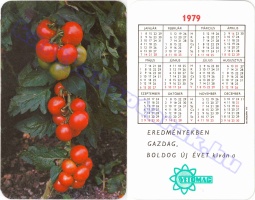 1979 0136