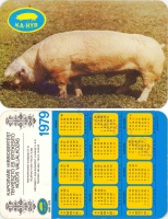 1979 0202