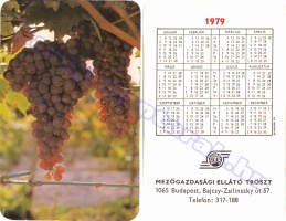 1979 0291