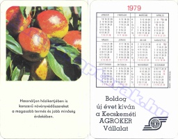 1979 0451