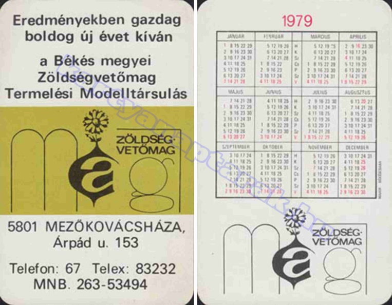 BUÉK A BÉKÉS MEGYEI ZÖLDSÉGVETŐMAG TERMELÉSI MODELLTÁRSULÁS MEZŐKOVÁCSHÁZA 1979_0695.jpg