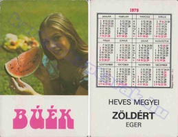 1979 0763