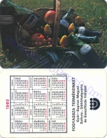 1980 0085