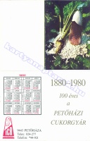 1980 0172