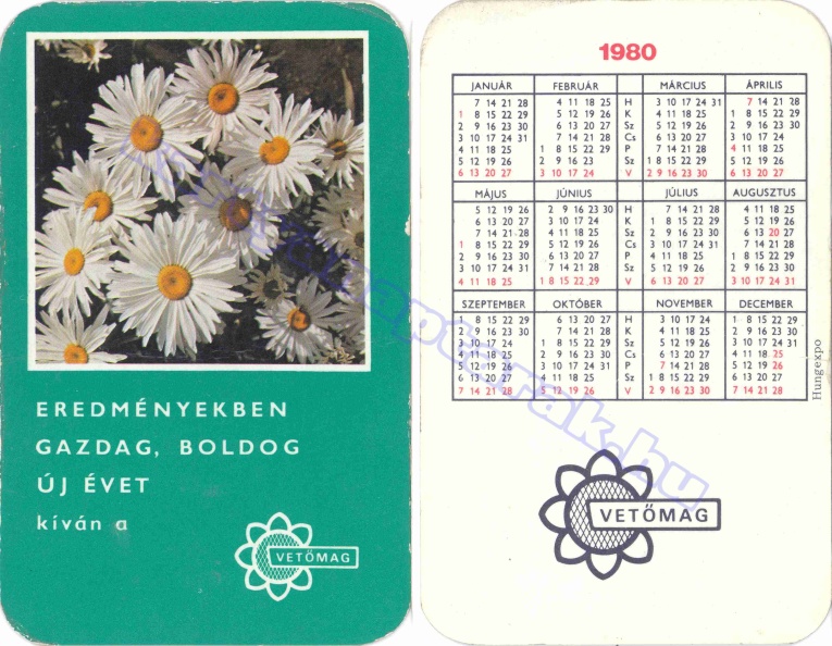 EREDMÉNYEKBEN GAZDAG BUÉK A VETŐMAG 1980_0258.jpg