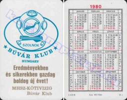 1980 0661