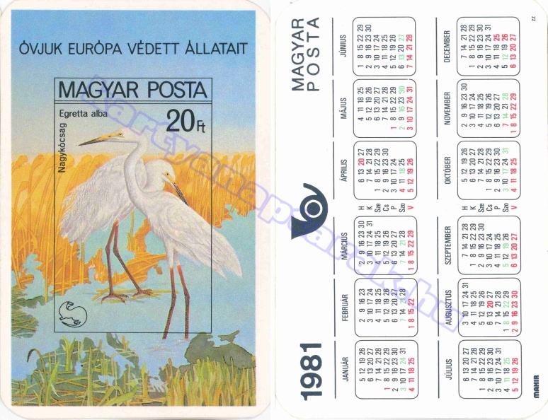 ÓVJUK EURÓPA VÉDETT ÁLLATAIT MAGYAR POSTA NAGYKÓCSAG EGRETTA ALBA 1981_0061.jpg