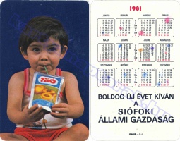 1981 0081