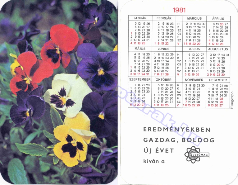 BUÉK A VETŐMAG 1981_0101.jpg