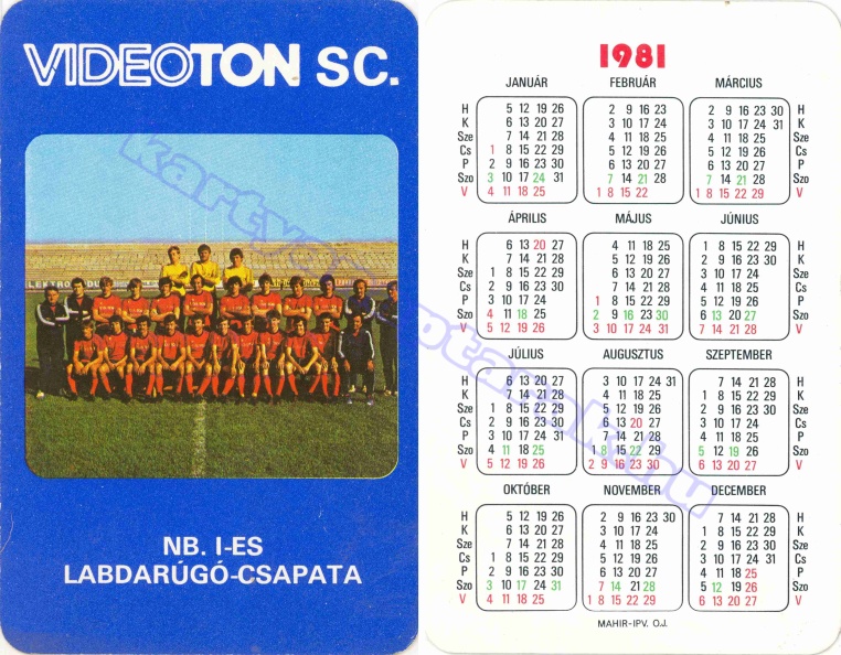VIDEOTON SC. NB. I-ES LABDARÚGÓ CSAPATA 1981_0270.jpg