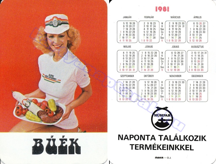HÚSIPAR NAPONTA TALÁLKOZIK TERMÉKEINKKEL GUTES AUS UNGARN 1981_0292.jpg