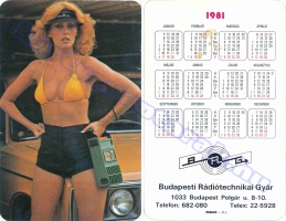 1981 0293