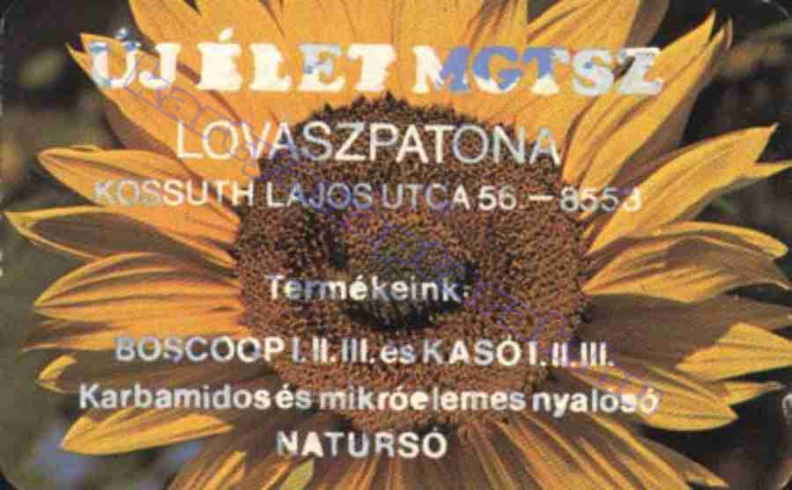 ÚJ ÉLET MGTSZ LOVÁSZPATONA TERMÉKEINK BOSCOOP ÉS KASÓ KARBAMIDOS ÉS MIKRÓELEMES NYALOSÓ NATURSÓ 1981_0412.jpg
