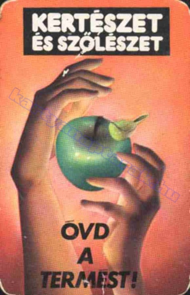 KERTÉSZET ÉS SZŐLÉSZET ÓVD A TERMÉST! 1981_0468.jpg