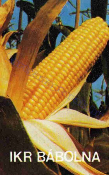 IKR BÁBOLNA 1981_0508.jpg
