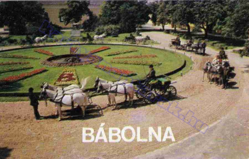 BÁBOLNA 1981_0533.jpg