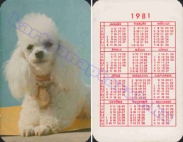 1981 0675