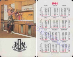 1981 0785