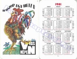1981 0807