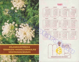 1981 0833
