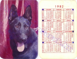 1982 0212