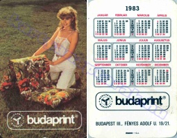 1983 0389