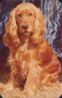 1983 0688