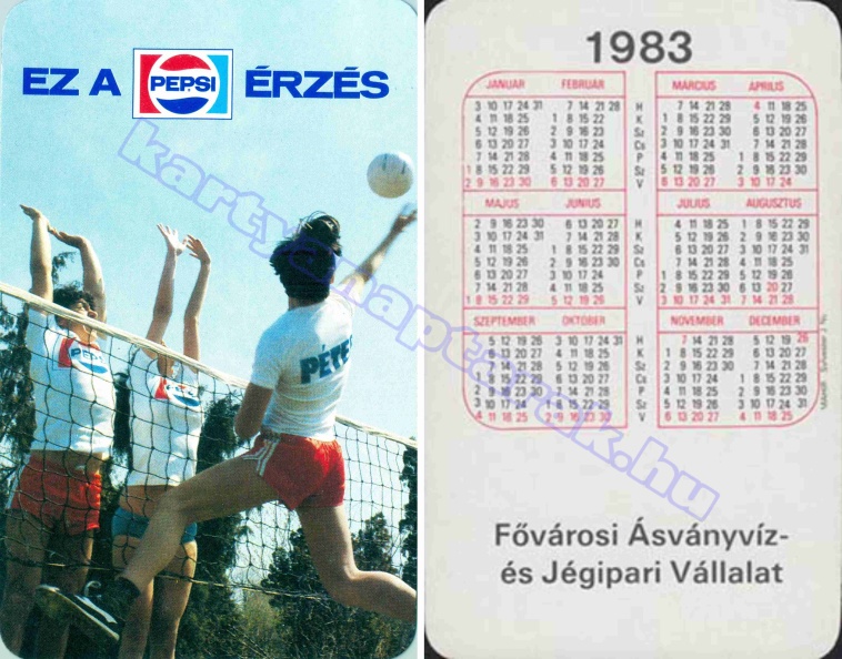 EZ A PEPSI ÉRZÉS FŐVÁROSI ÁSVÁNYVÍZ- ÉS JÉGIPARI VÁLLALAT 1983_0830.jpg