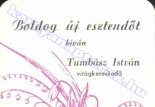 Érsekcsanád