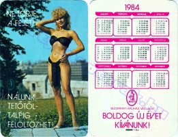 1984 0060