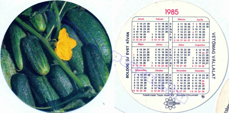 VETŐMAG VÁLLALAT FELELŐS KIADÓ: TESZÁR JÓZSEF IPV GONDOLAT KÖNYVKIADÓ 1985_0005.jpg