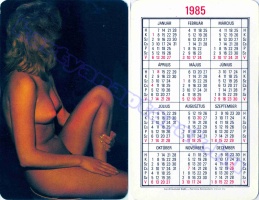 1985 0063