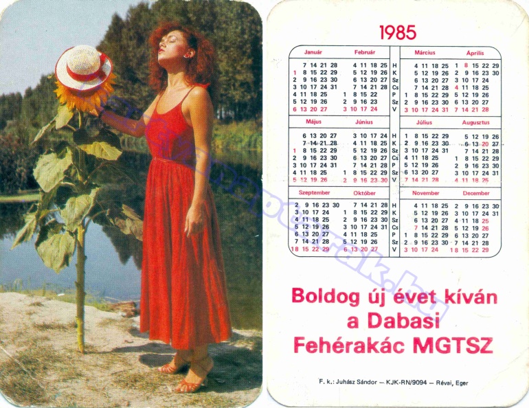 DABASI FEHÉRAKÁC MGTSZ 1985_0070.jpg