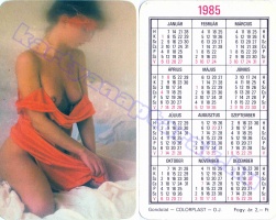 1985 0119