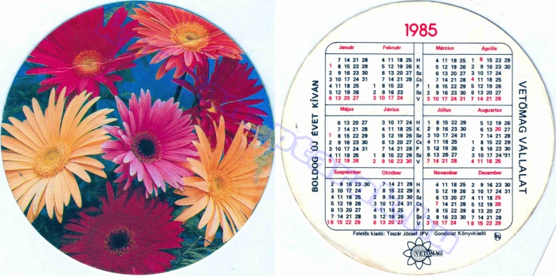 BUÉK VETŐMAG VÁLLALAT 1985_0146.jpg