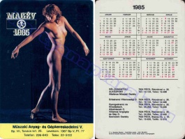 1985 0291