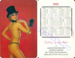 1985 0295