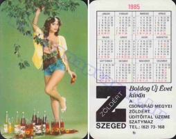1985 0495