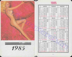1985 0588