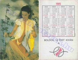 1985 0674