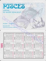 1985 0737