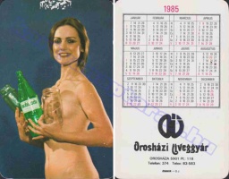 1985 0741