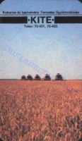 1985 0911