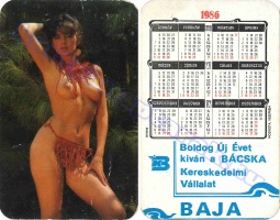 1986 0133