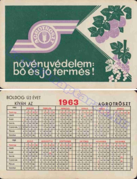 AGROTRÖSZT NÖVÉNYVÉDELEM: BŐ ÉS JÓ TERMÉS! 1963_0021.jpg