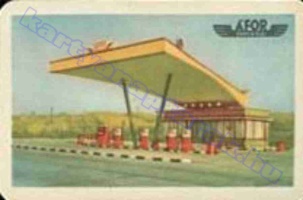 1965 0019