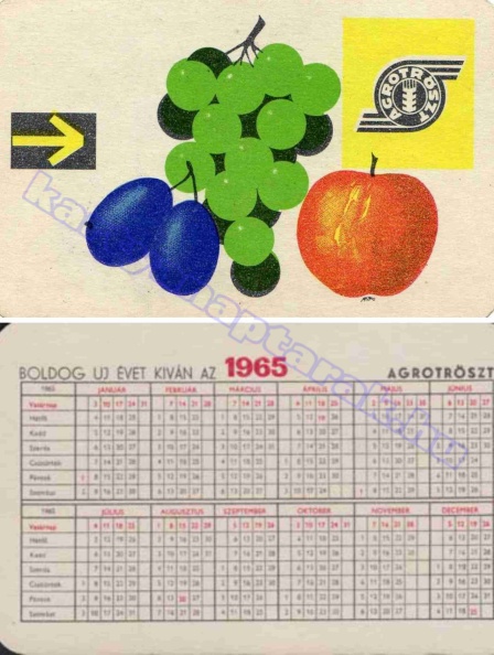 AGROTRÖSZT 1965_0022.jpg