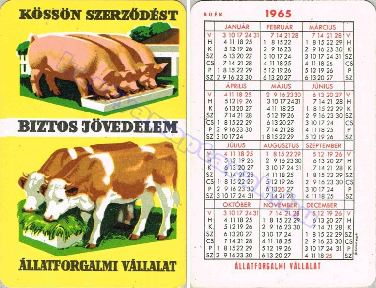 KÖSSÖN SZERZŐDÉST BIZTOS JÖVEDELEM ÁLLATFORGALMI VÁLLALAT 1965_0028.jpg