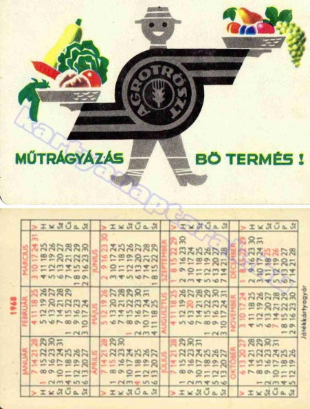 MŰTRÁGYÁZÁS BŐ TERMÉS ! AGROTRÖSZT 1968_0060.jpg