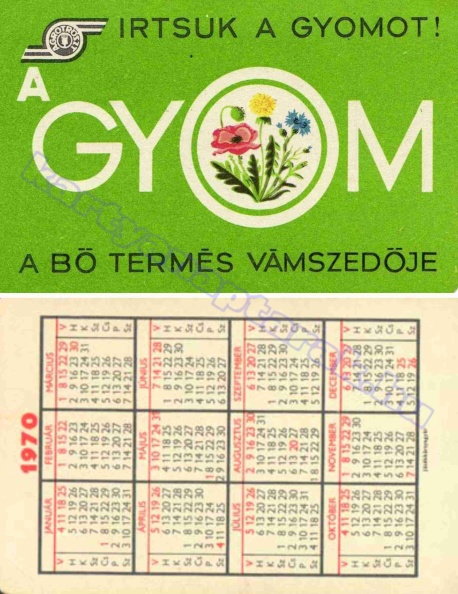 AGROTRÖSZT IRTSUK A GYOMOT A GYOM A BŐ TERMÉS VÁMSZEDŐJE 1970_0092.jpg